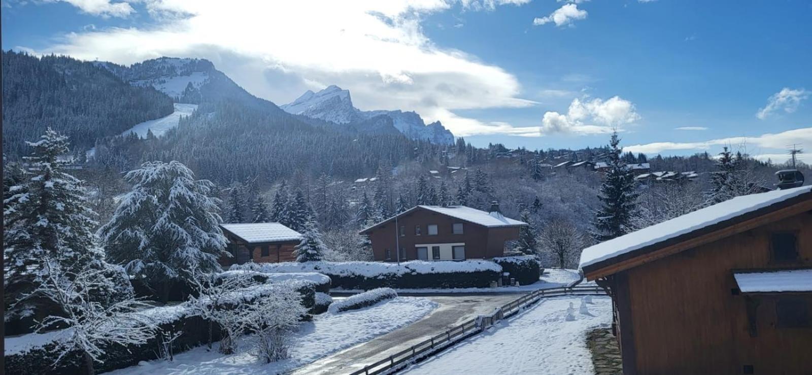 Des Neiges