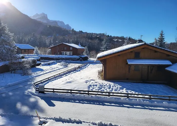 Chalet Des Neiges